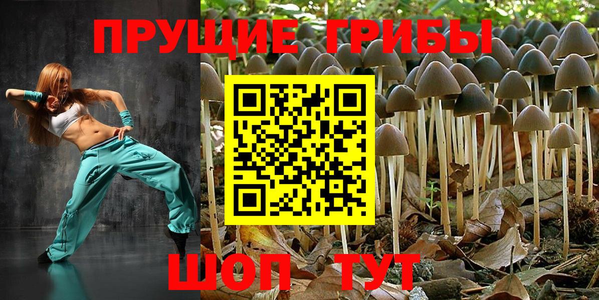 где купить наркоту  Вход с VPN  Лениногорск  Галлюциногенные грибы Magic Shrooms 