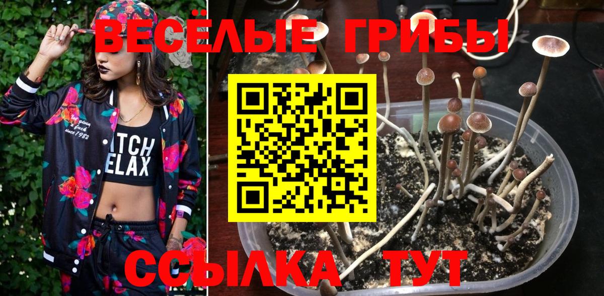 Кокаин  Каннабис  Вход с VPN  ЭКСТАЗИ  Лениногорск  МЕФ  