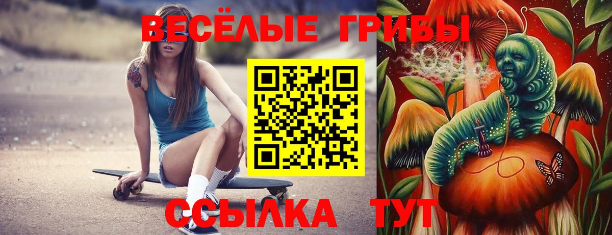Галлюциногенные грибы мухоморы Лениногорск